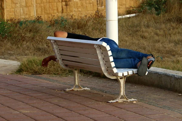 Lavička Městském Parku Středozemním Pobřeží Severu Izraele — Stock fotografie
