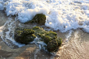 taşlar İsrail'in kuzeyinde Akdeniz kıyılarında yalan 