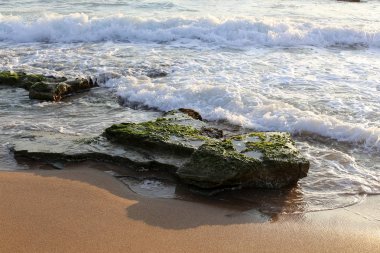 taşlar İsrail'in kuzeyinde Akdeniz kıyılarında yalan 
