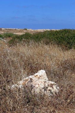 taşlar İsrail'in kuzeyinde Akdeniz kıyılarında yalan 