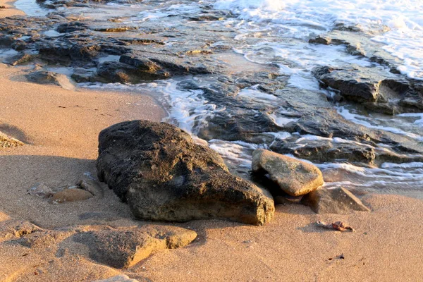 石はイスラエルの北の地中海の海岸に横たわっている — ストック写真