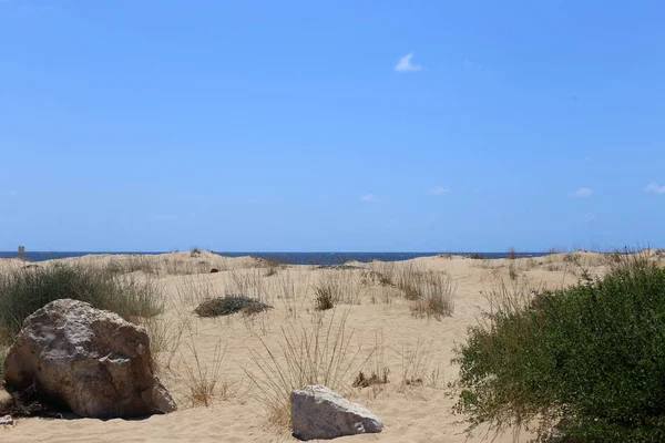 Pedras Jazem Nas Margens Mediterrâneo Norte Israel — Fotografia de Stock