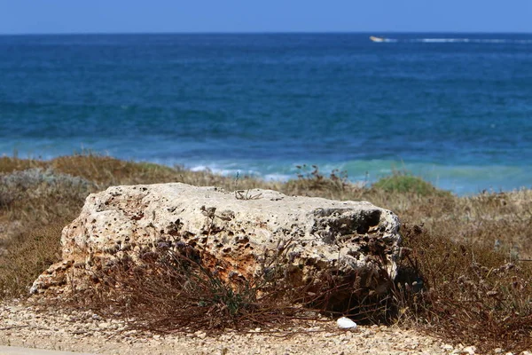 Πέτρες Βρίσκονται Στις Ακτές Της Μεσογείου Στο Βορρά Του Ισραήλ — Φωτογραφία Αρχείου