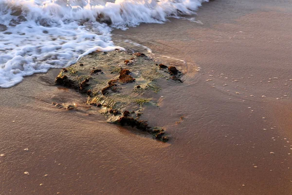 石はイスラエルの北の地中海の海岸に横たわっている — ストック写真