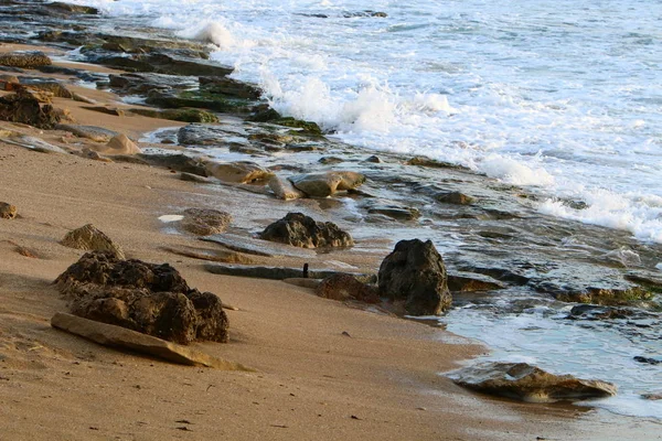 石はイスラエルの北の地中海の海岸に横たわっている — ストック写真