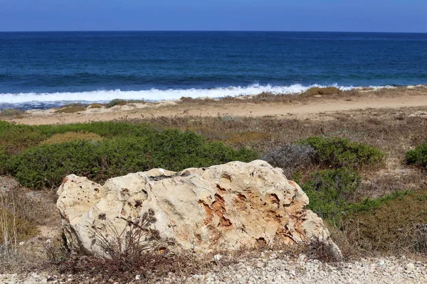 Piedras Encuentran Las Orillas Del Mediterráneo Norte Israel — Foto de Stock