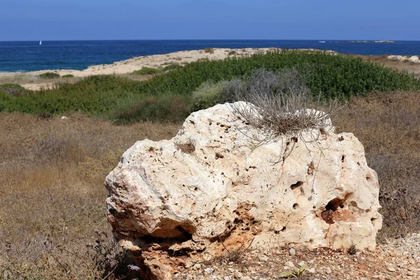 Pedras Jazem Nas Margens Mediterrâneo Norte Israel — Fotografia de Stock