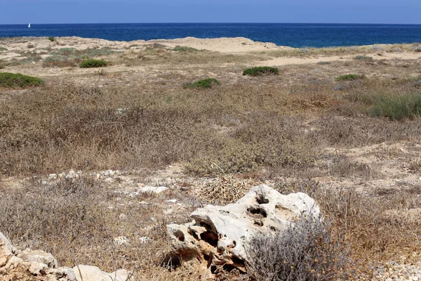 Pietre Trovano Sulle Rive Del Mediterraneo Nel Nord Israele — Foto Stock