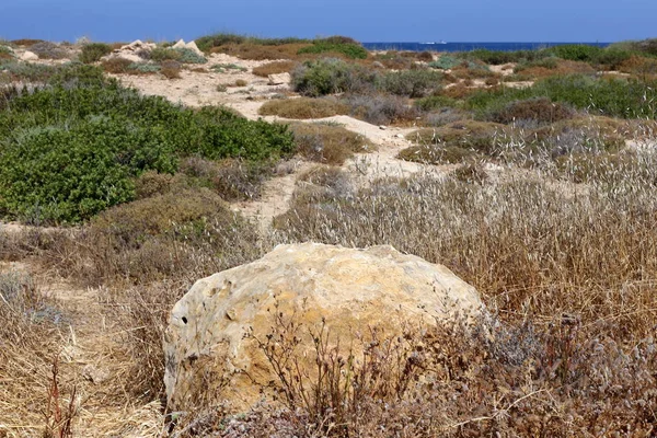Piedras Encuentran Las Orillas Del Mediterráneo Norte Israel — Foto de Stock