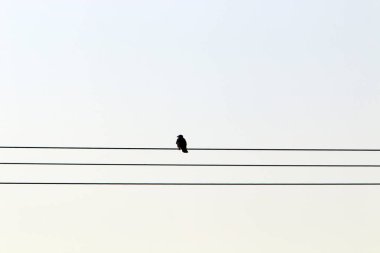 İsrail'de büyük bir şehrin sokaklarında inşaat ve mimari geometrik şekiller 