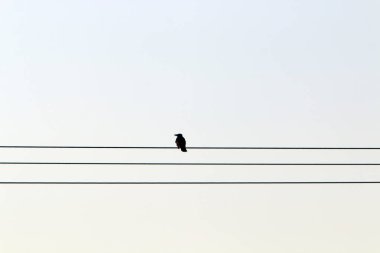 İsrail'de büyük bir şehrin sokaklarında inşaat ve mimari geometrik şekiller 