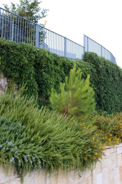 İsrail Devleti'nin kuzeyinde Akdeniz kıyısında bir şehir parkı çit 