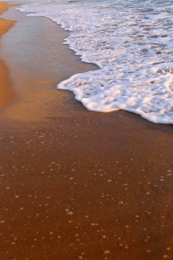 ıssız Kuzey İsrail'in Akdeniz kıyısında 