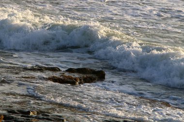 ıssız Kuzey İsrail'in Akdeniz kıyısında 