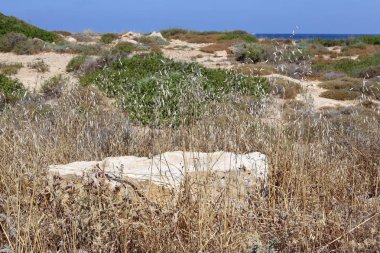 ıssız Kuzey İsrail'in Akdeniz kıyısında 