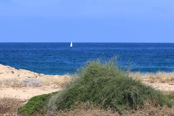 Verlaten Kust Van Middellandse Zee Het Noorden Van Israël — Stockfoto