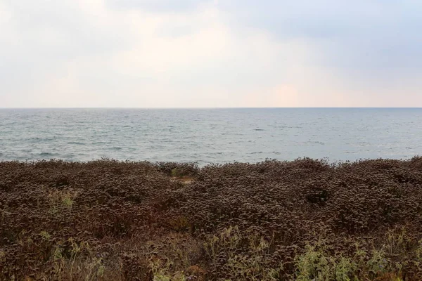 Opuszczony Wybrzeżu Morza Śródziemnego Północnym Izraelu — Zdjęcie stockowe