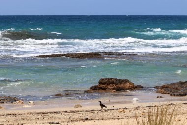 ıssız Kuzey İsrail'in Akdeniz kıyısında 