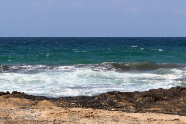 ıssız Kuzey İsrail'in Akdeniz kıyısında 