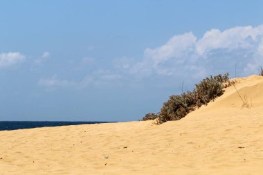 ıssız Kuzey İsrail'in Akdeniz kıyısında 