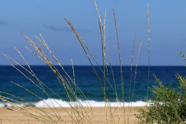ıssız Kuzey İsrail'in Akdeniz kıyısında 