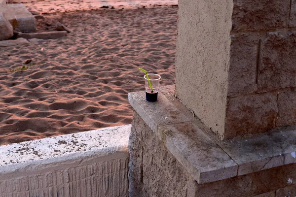 Hideg Ivóvizet Öntenek Egy Műanyag Csészét Üveget — Stock Fotó