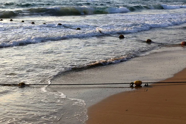 Rep Med Flöten Fäktning Stranden Vid Medelhavets Kust Norra Delen — Stockfoto