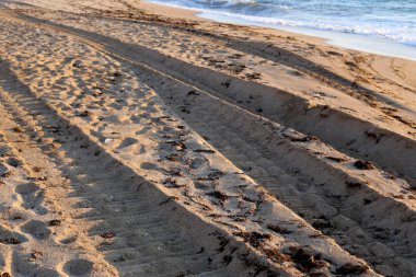 Israil eyaletinin kuzeyinde Akdeniz kıyısında sahilde kum ayak izleri 