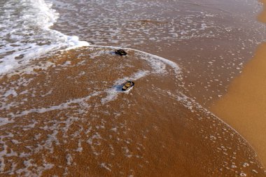 Israil eyaletinin kuzeyinde Akdeniz kıyısında sahilde kum ayak izleri 