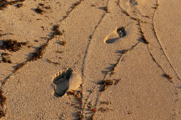 Voetafdrukken Het Zand Het Strand Aan Middellandse Zeekust Het Noorden — Stockfoto