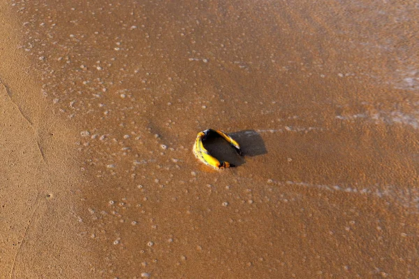 Footprints Sand Beach Mediterranean Coast North State Israel — Stock Photo, Image