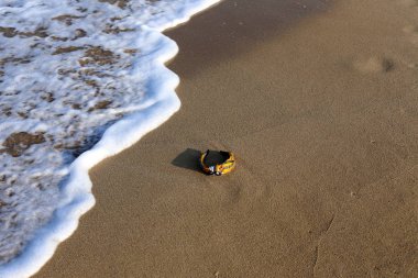 Israil eyaletinin kuzeyinde Akdeniz kıyısında sahilde kum ayak izleri 