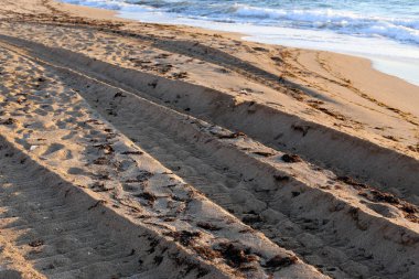 Israil eyaletinin kuzeyinde Akdeniz kıyısında sahilde kum ayak izleri 