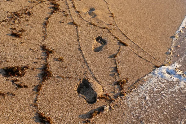 Πατημασιές Στην Άμμο Στην Παραλία Στις Ακτές Της Μεσογείου Στο — Φωτογραφία Αρχείου