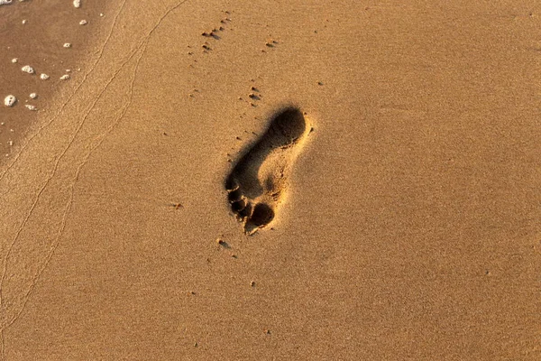イスラエル州北部の地中海沿岸のビーチの砂の足跡 — ストック写真