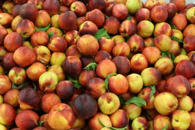 Taze meyve ve sebzeler Israil Acre kentinde bir pazarda satılır 