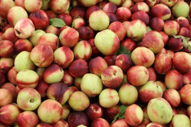 Taze meyve ve sebzeler Israil Acre kentinde bir pazarda satılır 