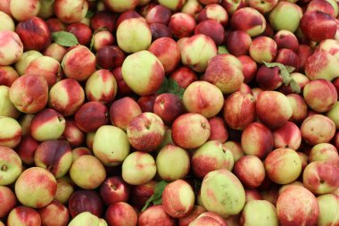 Taze meyve ve sebzeler Israil Acre kentinde bir pazarda satılır 