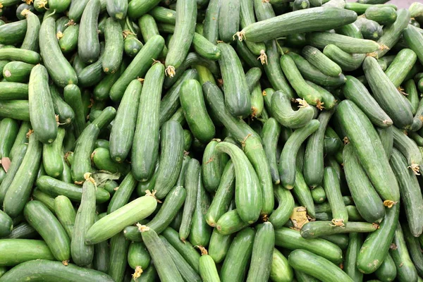 Verse Groenten Fruit Worden Verkocht Een Markt Stad Van Acre — Stockfoto