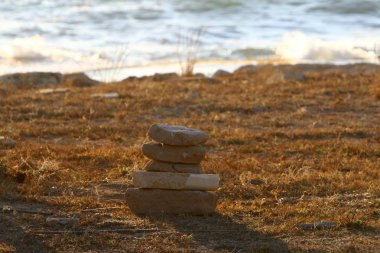 taşlar İsrail devletinin kuzeyinde Akdeniz kıyısında bir parkta yalan 