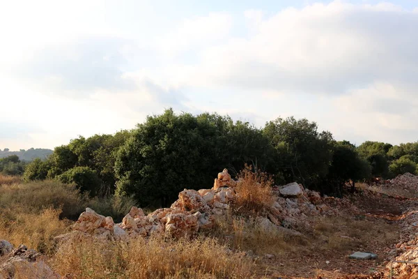 Piedras Encuentran Parque Orillas Del Mar Mediterráneo Norte Del Estado —  Fotos de Stock