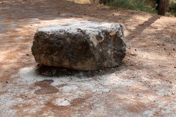 Taşlar Srail Devletinin Kuzeyinde Akdeniz Kıyısında Bir Parkta Yalan — Stok fotoğraf