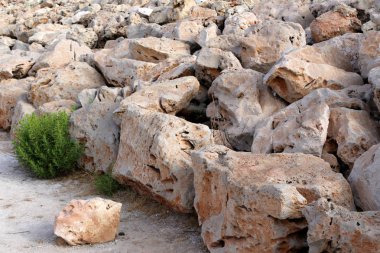 taşlar İsrail devletinin kuzeyinde Akdeniz kıyısında bir parkta yalan 