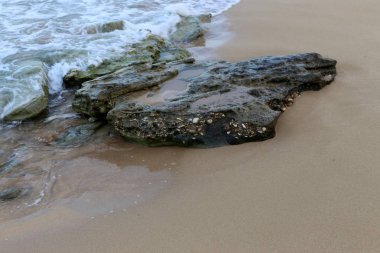 taşlar İsrail devletinin kuzeyinde Akdeniz kıyısında bir parkta yalan 