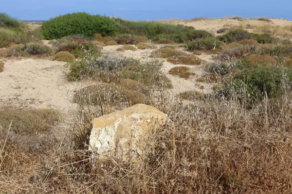 Piedras Encuentran Parque Orillas Del Mar Mediterráneo Norte Del Estado — Foto de Stock