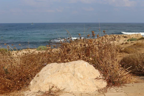 Pedras Encontram Parque Nas Margens Mar Mediterrâneo Norte Estado Israel — Fotografia de Stock