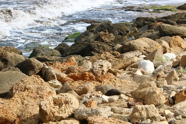 Stenarna Ligger Park Vid Medelhavets Strand Norra Delen Staten Israel — Stockfoto