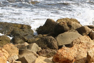 taşlar İsrail devletinin kuzeyinde Akdeniz kıyısında bir parkta yalan 