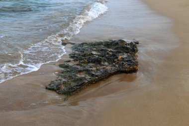 taşlar İsrail devletinin kuzeyinde Akdeniz kıyısında bir parkta yalan 