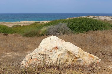 taşlar İsrail devletinin kuzeyinde Akdeniz kıyısında bir parkta yalan 